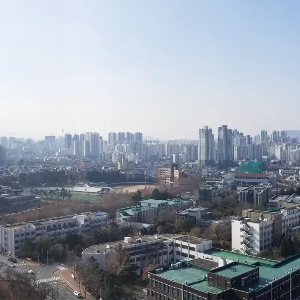 모던 리서가든 테라피 대표 안내 이미지
