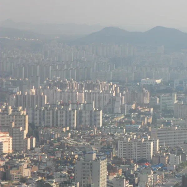 가든 하린스튜디오 테라피 대표 안내 이미지