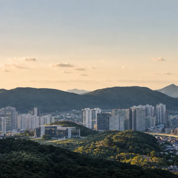 로아케어 마사지 대표 안내 이미지