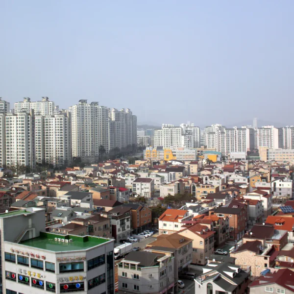 포레스트 유나아지트 테라피 대표 안내 이미지